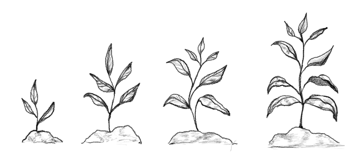 Illustration of a flock of birds in flight, signifying partnership, communication and collaboration