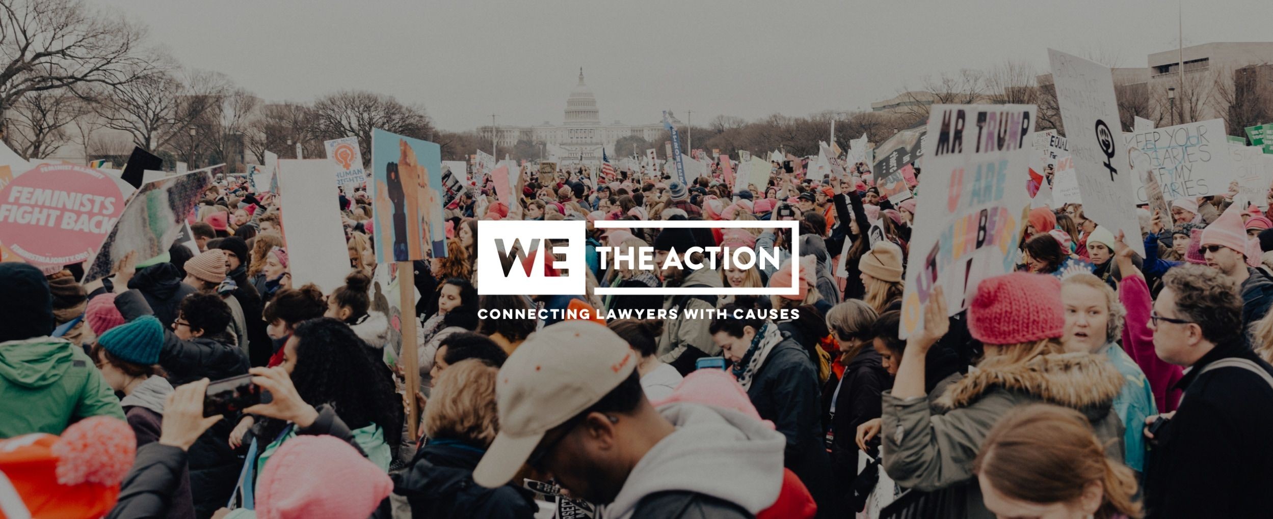 Photograph of thousands of people protesting with the United States Capital building in the distance. The image has the logo We the Action, Connecting Lawyers with Causes overlaid.